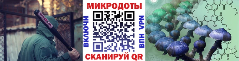 Купить закладки  Собинка  Псилоцибиновые грибы ЛСД 